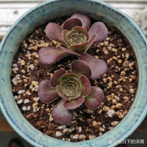 黑法师召唤手游下载_黑法师召唤官网下载_手机安卓苹果app