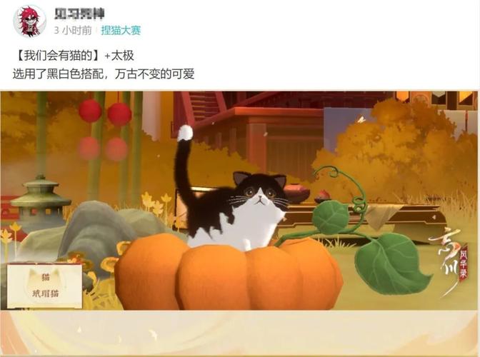 黑白猫相遇游戏下载_黑白猫相遇手游下载_黑白猫相遇安卓苹果app