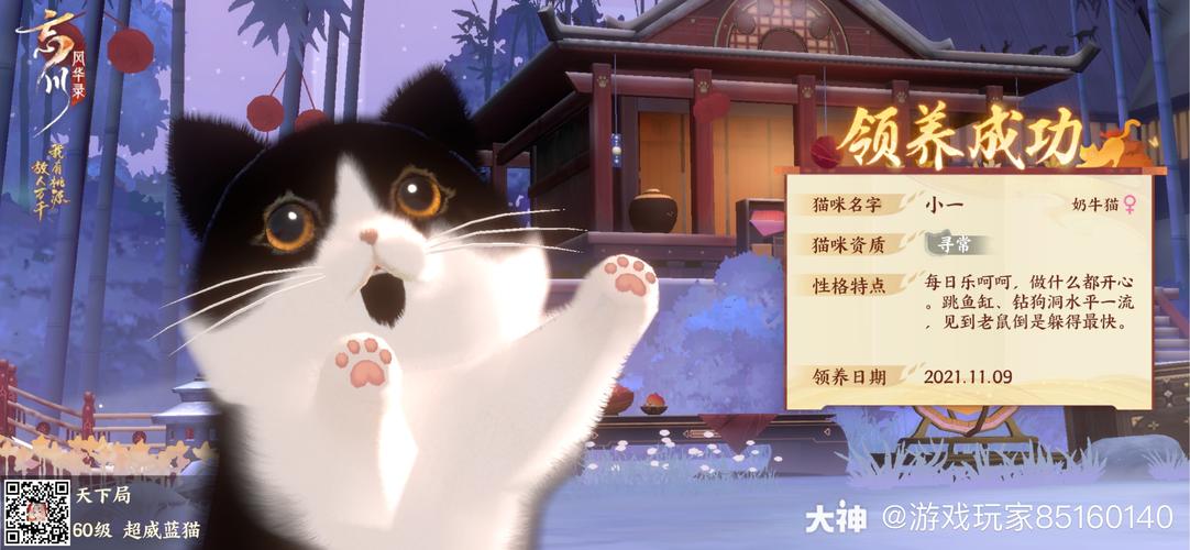 黑白猫相遇游戏下载_黑白猫相遇手游下载_黑白猫相遇安卓苹果app