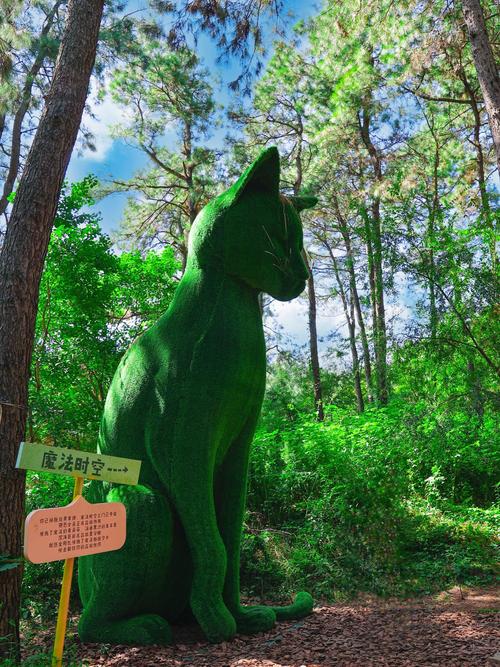 魔法森林4.5手游下载_魔法森林4.5官网下载_手机安卓苹果app