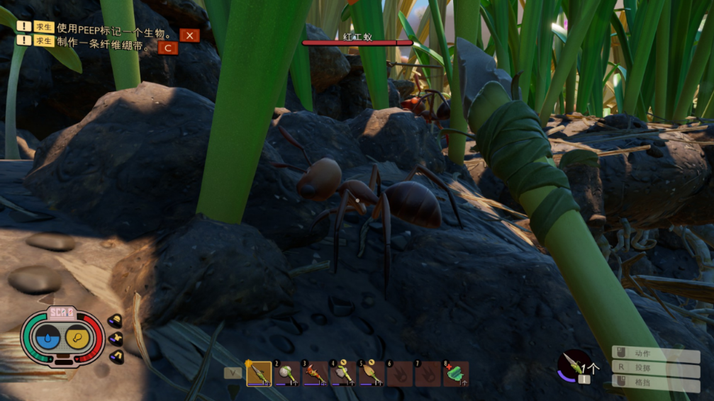 《禁闭求生》评测：昆虫世界生存大作战