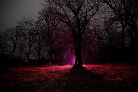 黑夜梦幻森林逃脱游戏下载_黑夜梦幻森林逃脱手游下载_黑夜梦幻森林逃脱安卓苹果app