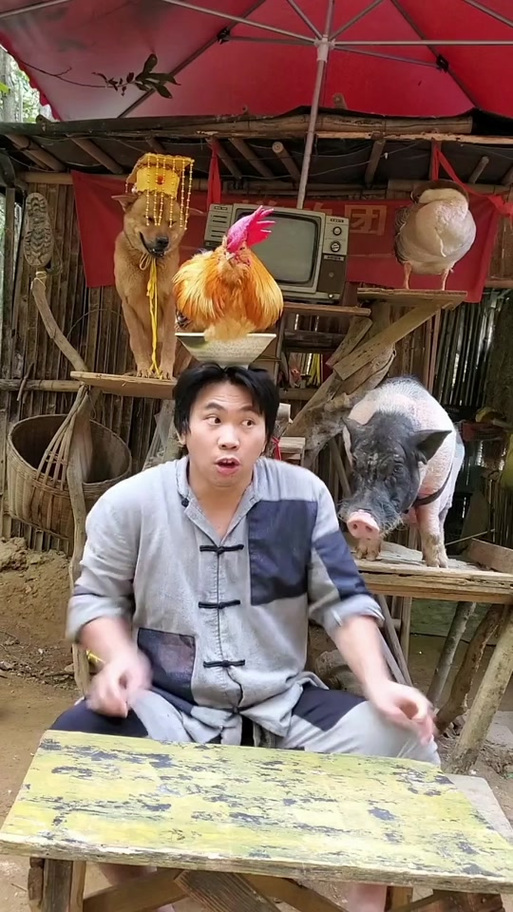 鸡鸭兄弟2无敌版手游下载_鸡鸭兄弟2无敌版官网下载_手机安卓苹果app