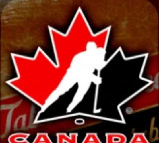 桌面曲棍球游戏下载_桌面曲棍球游戏攻略_安卓苹果最新版本