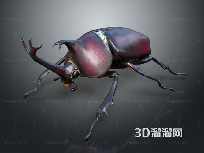 黄金甲壳虫游戏下载_黄金甲壳虫官网下载_安卓苹果app