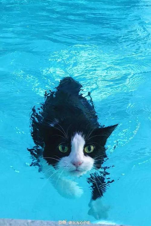 超级企鹅冒险手游下载_超级企鹅冒险官网下载_手机安卓苹果app