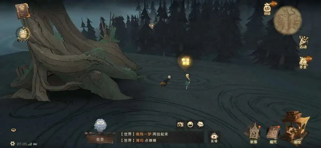 哈利波特禁林野猪群怎么打