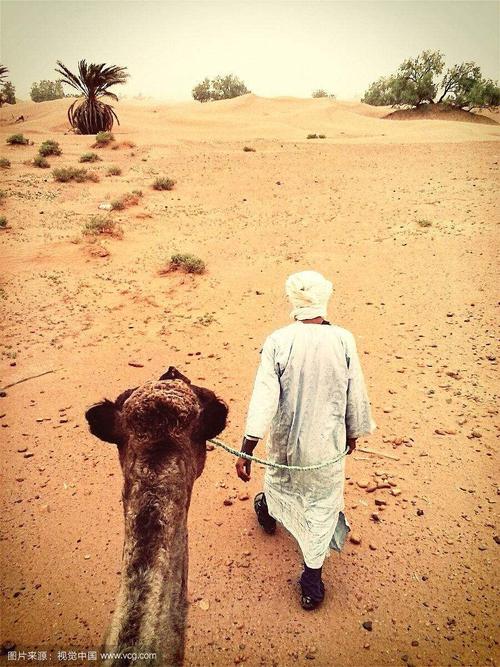 骆驼历险记手游下载_骆驼历险记官网下载_手机安卓苹果app