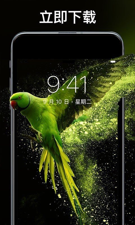 灵猫壁纸大全手机版下载_灵猫壁纸大全安卓版下载