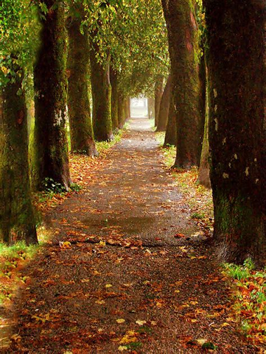 爱的相册手机版下载_爱的相册安卓版下载