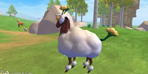 创造与魔法羊毛面料怎么弄