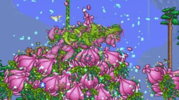 泰拉瑞亚花苞怎么刷取