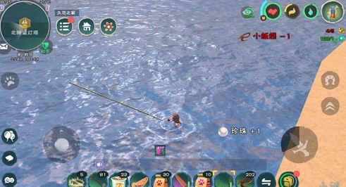 创造与魔法海带在哪里钓几率高