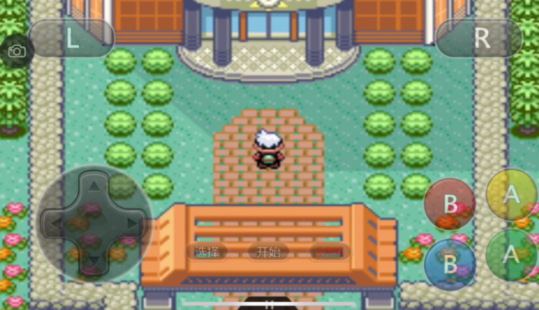 口袋妖怪冠军之路怎么过 冠军之路通关详细攻略