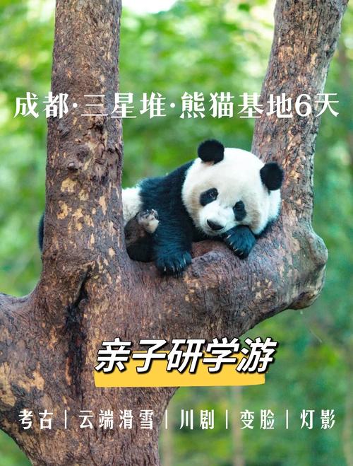 熊猫滑雪乐官网下载app_熊猫滑雪乐手游攻略_安卓苹果最新版本