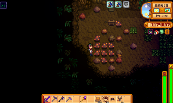 星露谷物语废墟怎么拆除 什么道具能够拆除建筑