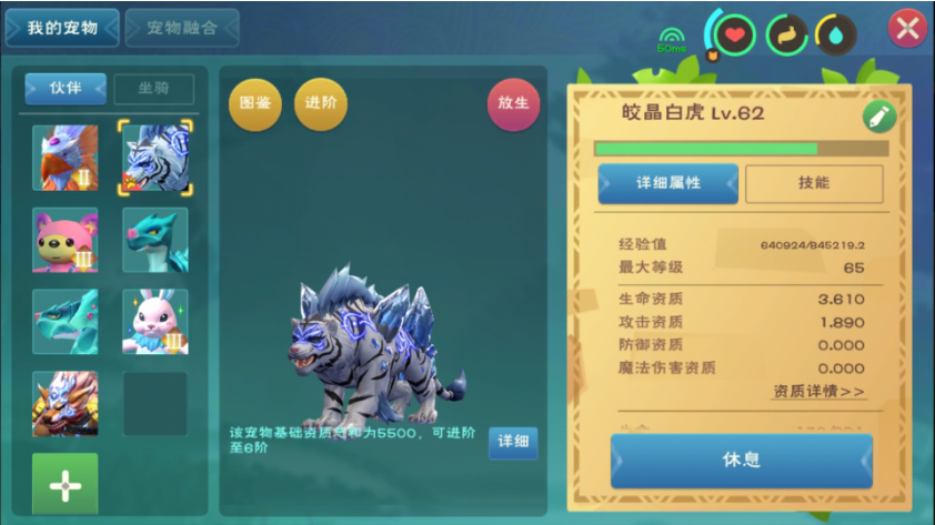 创造与魔法30级宠物捉什么好 宠物要怎么抓捕