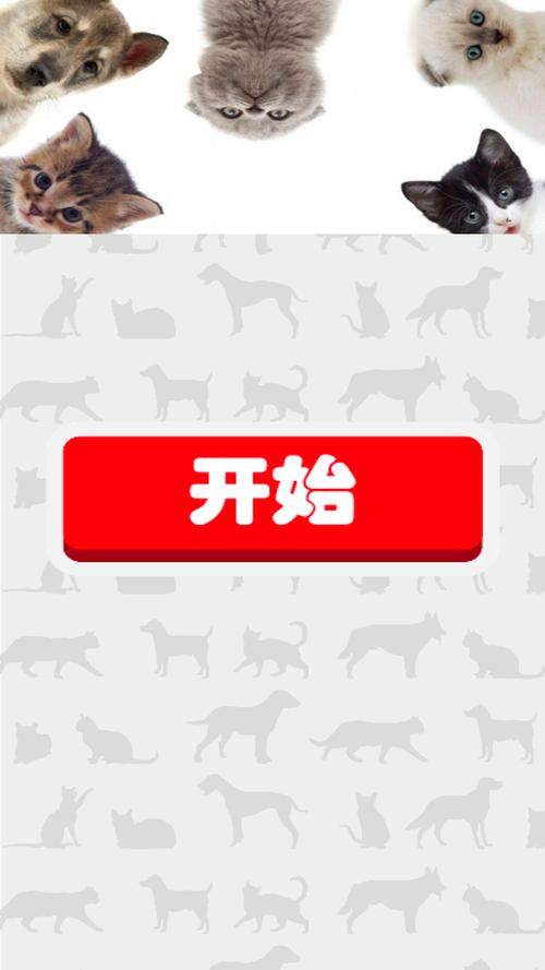 猫猫狗狗大乐斗手游下载_猫猫狗狗大乐斗官网下载_手机安卓苹果app