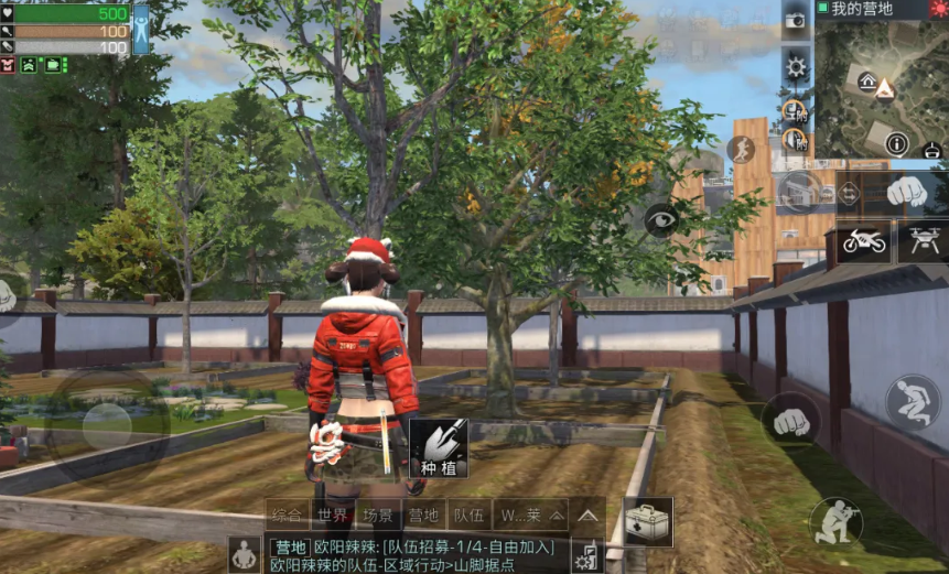 明日之后怎么获得树苗 树苗在哪里购买