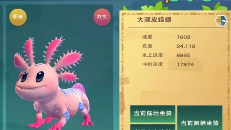 创造与魔法蝾螈保底多少包 蝾螈的作用是什么