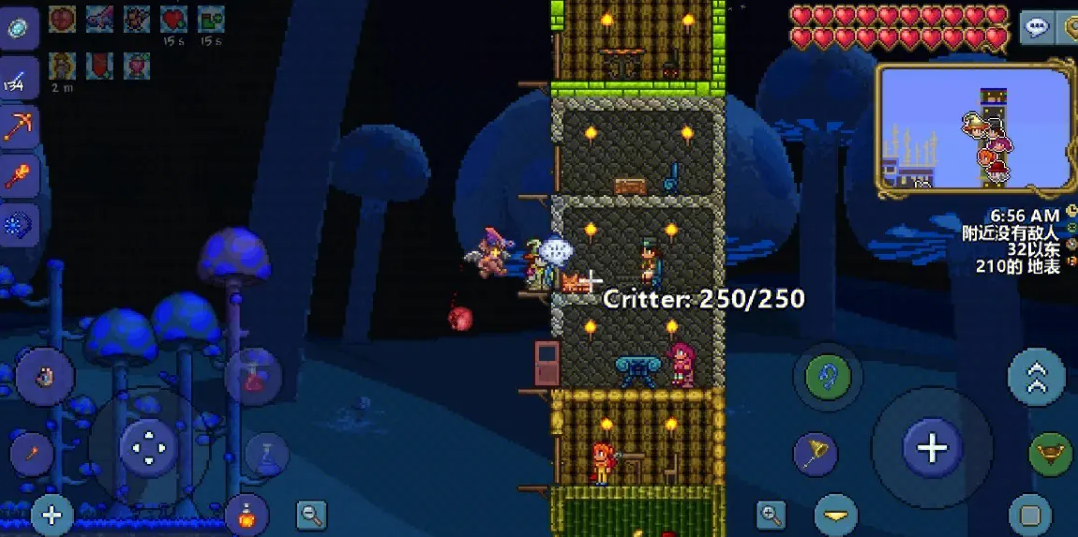 泰拉瑞亚宠物哪个好看 宠物有什么作用