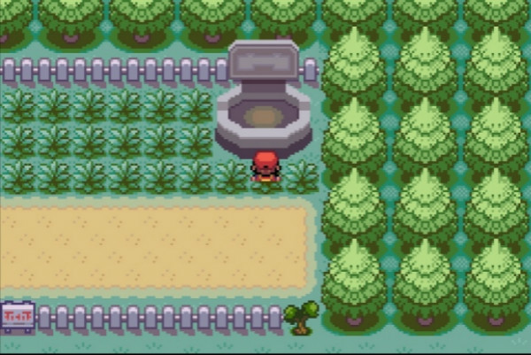 口袋妖怪火红攻略图文一周目 一周目的完成条件