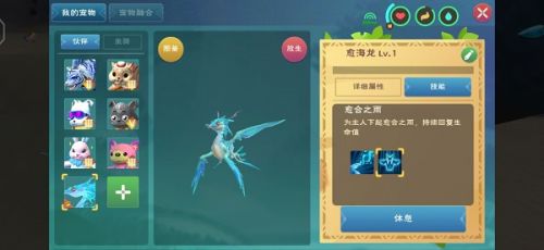 创造与魔法疗海龙和愈海龙哪个好 新人选择哪些坐骑比较好