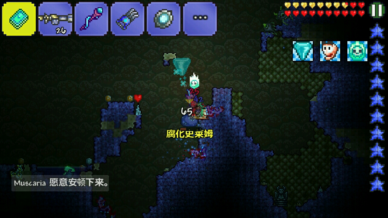 泰拉瑞亚阴森套怎么做 哪些套装比较好获取