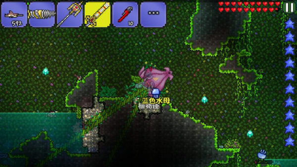 泰拉瑞亚如何找花苞 花苞怎么触发