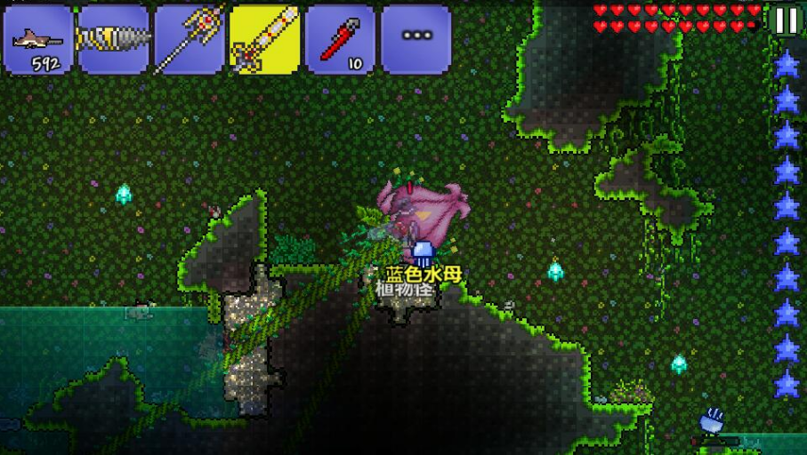 泰拉瑞亚如何找花苞 花苞怎么触发