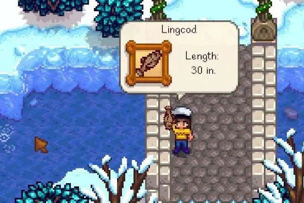 星露谷物语大眼鱼在哪里钓 大眼鱼的作用有哪些