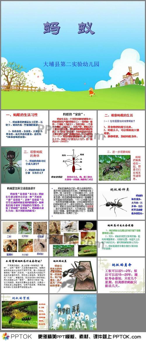 蚂蚁王位争夺手游下载_蚂蚁王位争夺官网下载_手机安卓苹果app