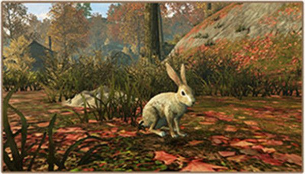 明日之后灰兔子在哪里抓 灰兔子拿来做什么