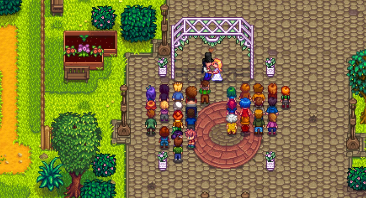 星露谷物语如何结婚生子 攻略NPC的人选推荐