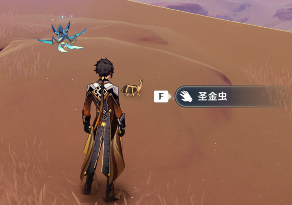 原神圣金虫怎么获取 圣金虫有什么用