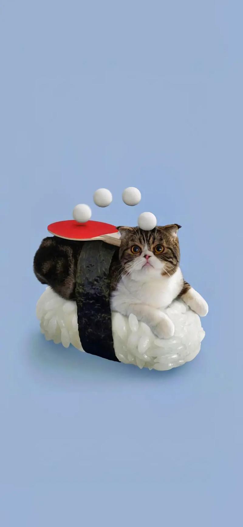 蓝色寿司猫v1手游下载_蓝色寿司猫v1官网下载_手机安卓苹果app