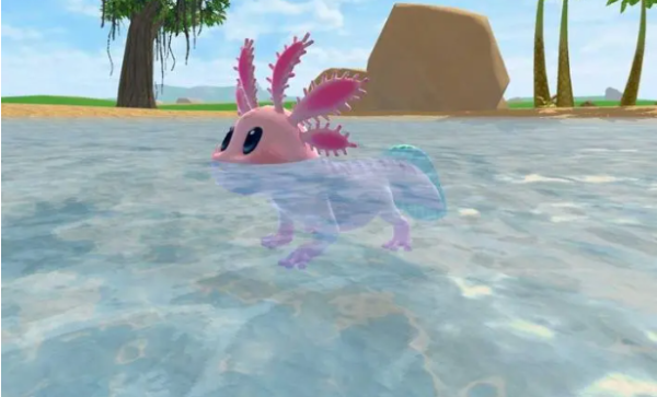 创造与魔法蝾螈的饲料需要什么 蝾螈要怎么训养