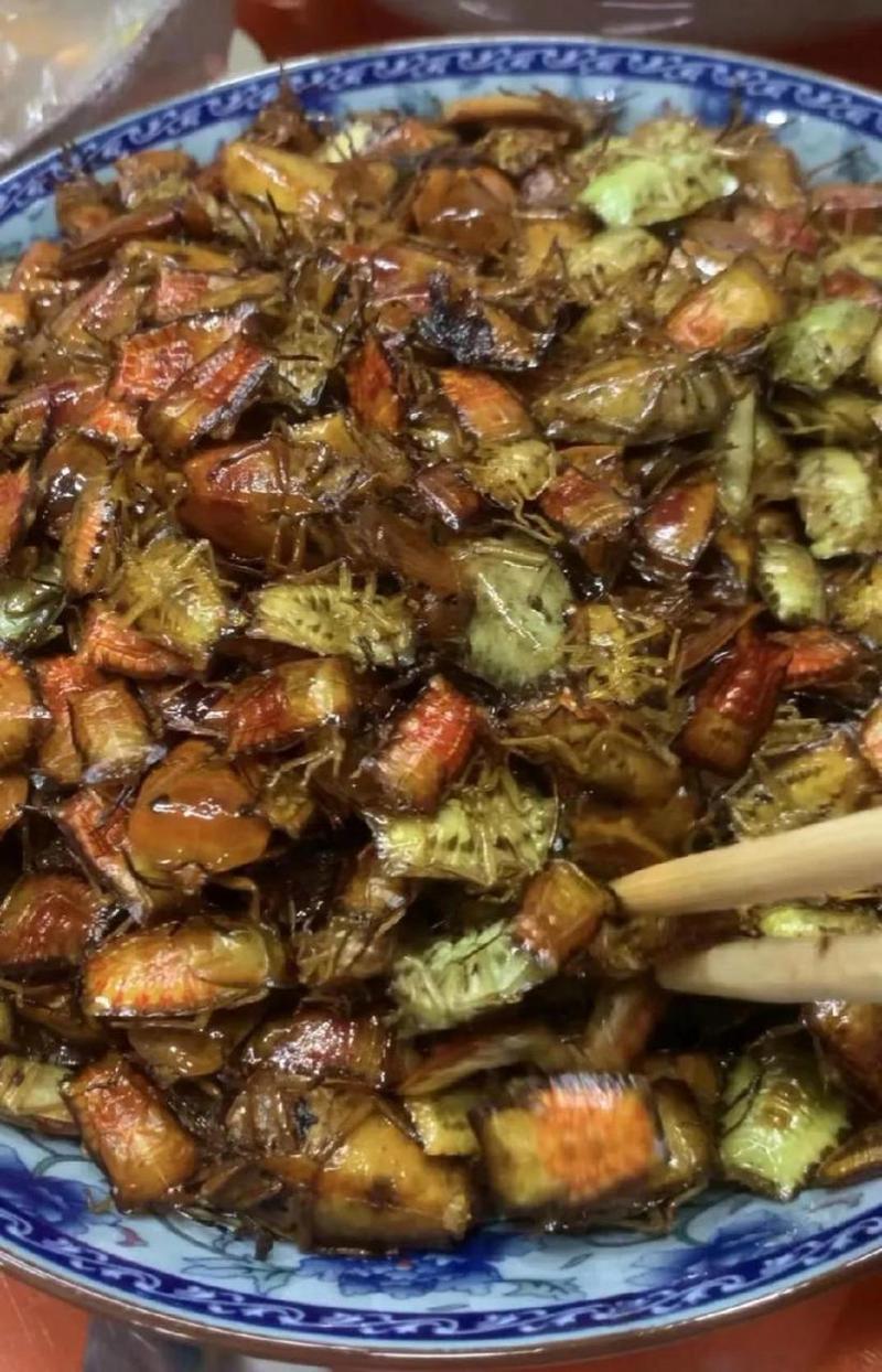 臭屁虫吃吃吃游戏下载_臭屁虫吃吃吃官方下载_安卓苹果app