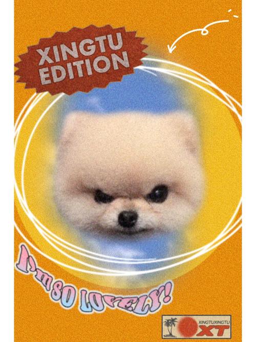 自己动手画Q宠游戏下载_自己动手画Q宠官网下载_手机安卓苹果app