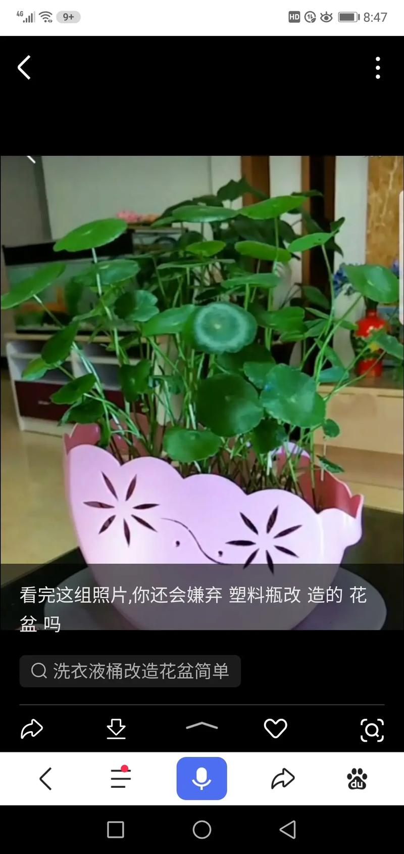 自制塑料花盆手游下载_自制塑料花盆官网下载_手机安卓苹果app