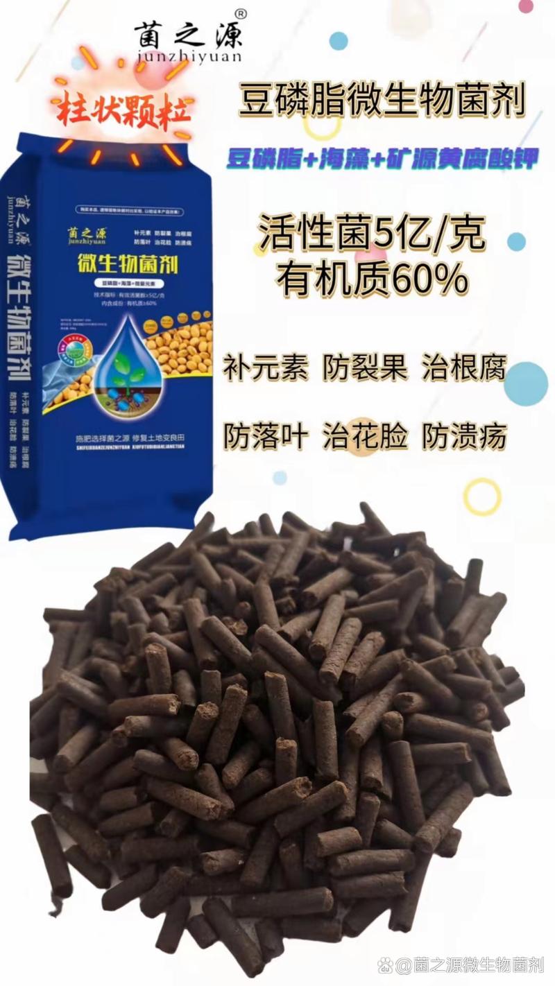 细菌战机无敌版手游下载_细菌战机无敌版官网下载_手机安卓苹果app