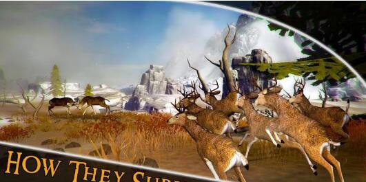 猎鹿达人3D之密林探险正式版下载_猎鹿达人3D之密林探险安卓版下载