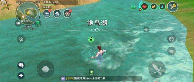 创造与魔法娃娃鱼怎么驯服