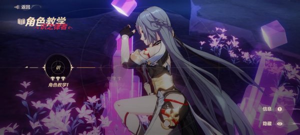 崩坏3四个浮华哪个最强