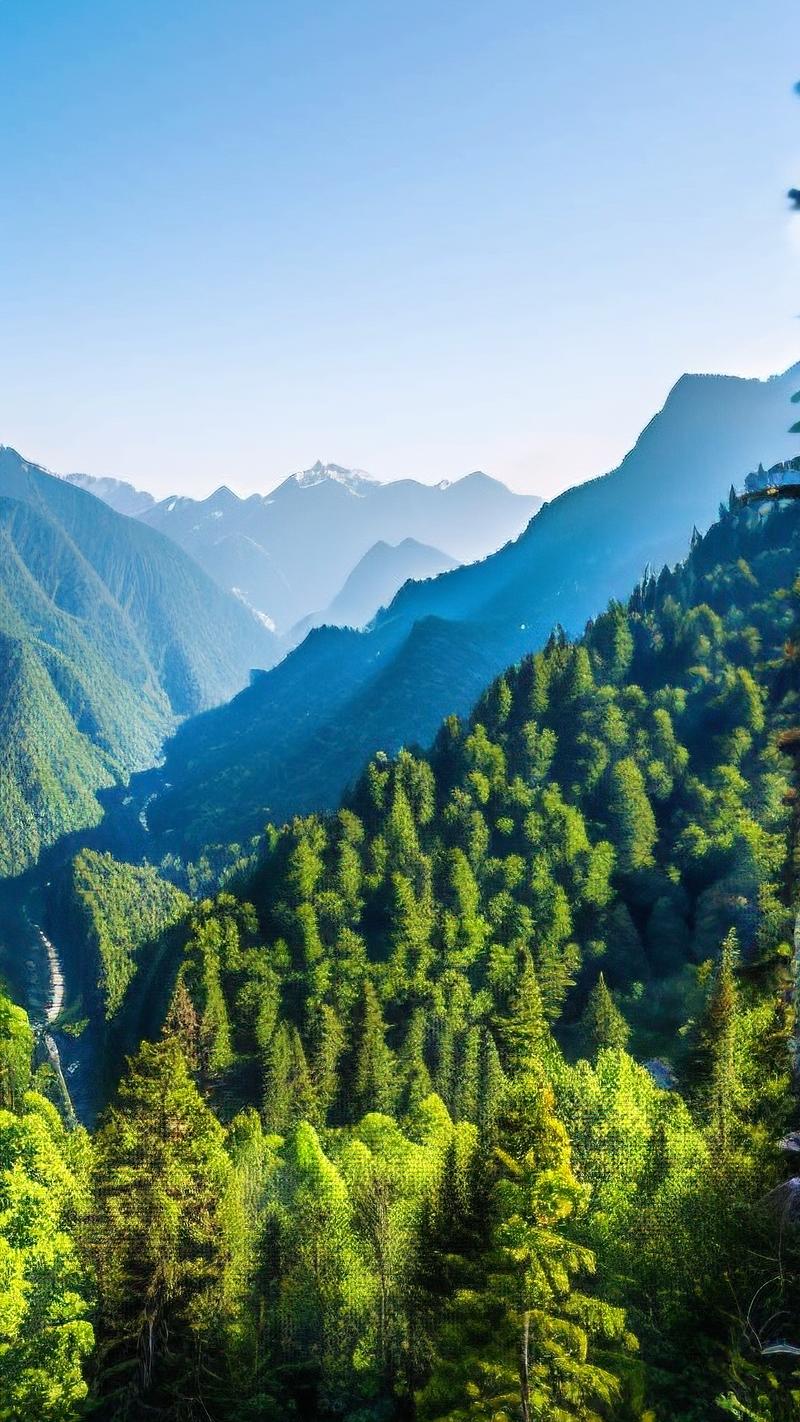 逃离预言森林手游下载_逃离预言森林官网下载_手机安卓苹果app