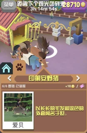 疯狂动物园野猪在哪 疯狂动物园野猪在哪