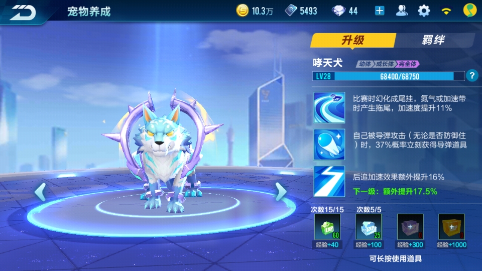 qq飞车宠物要多少宠物能量