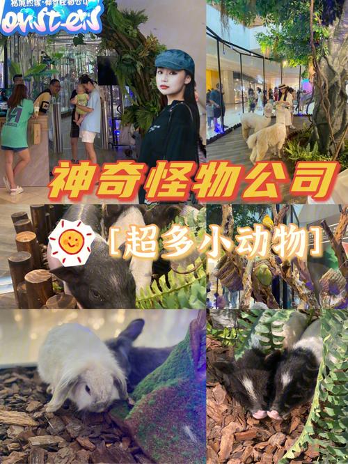 逃离非洲动物园手游下载_逃离非洲动物园官网下载_手机安卓苹果app