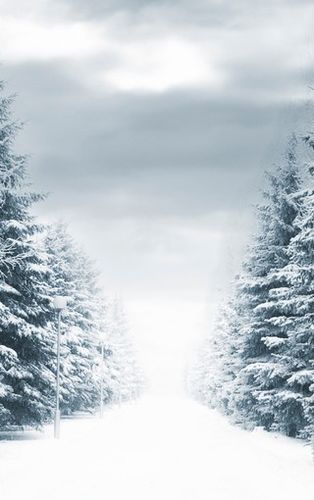 逃离雪地房屋3手游下载_逃离雪地房屋3官网下载_手机安卓苹果app