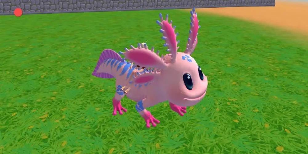 创造与魔法顽皮蝾螈极品资质怎么样